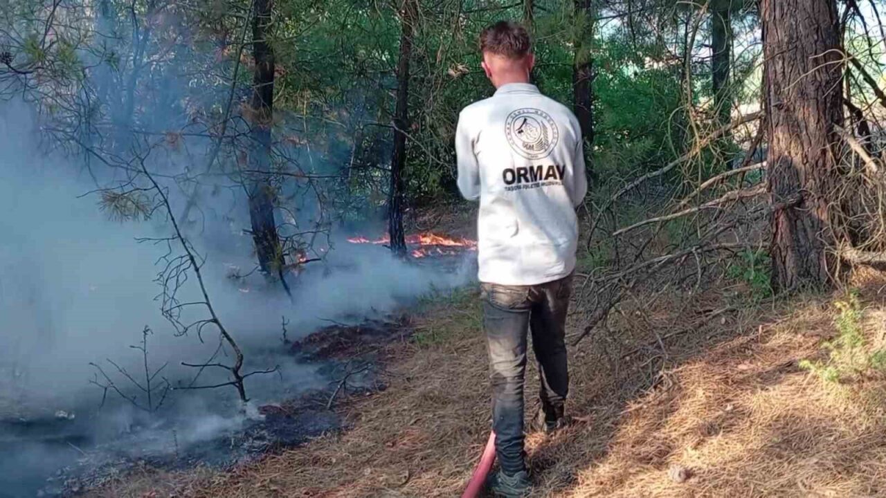 Amasya’nın Taşova ilçesinde çıkan yangında 10 dekar ormanlık alan ve