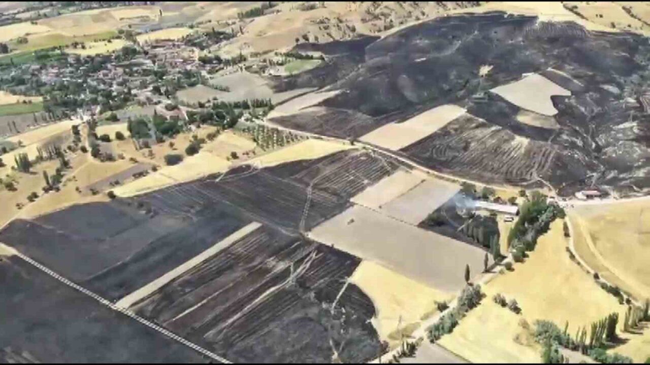 Amasya’nın Merzifon ilçesinde çıkan yangında yaklaşık 500 dönüm tarım arazisi