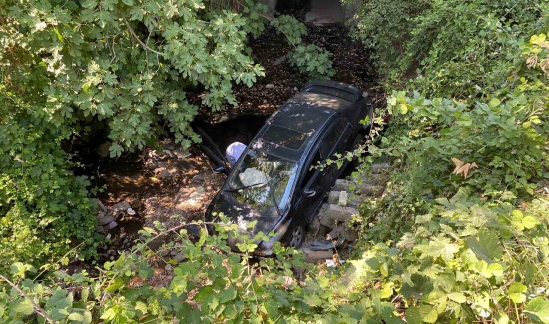 Kocaeli’nin Derince ilçesinde sürücüsünün park etmeye çalıştığı otomobil, yaklaşık 7