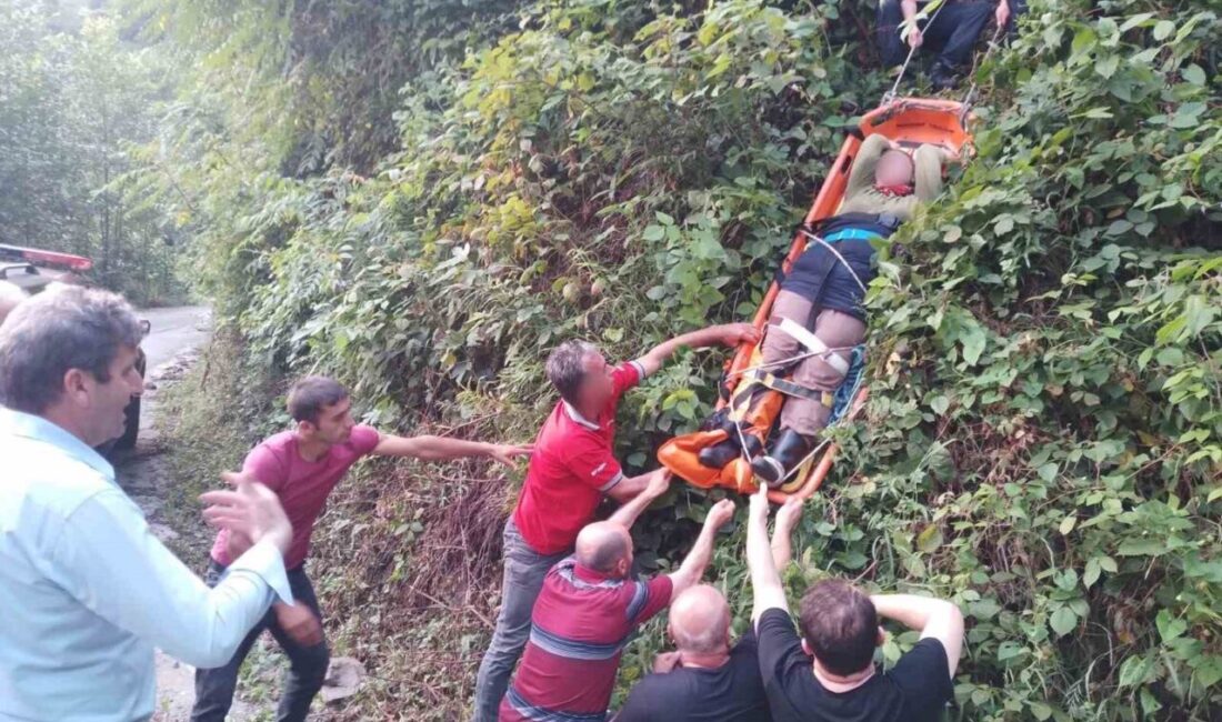 Rize’de arazide çalıştığı sırada yaralanarak mahsur kalan kadın, AFAD ekipleri