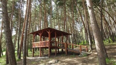 Ardahan Valiliği orman yangınlarının önlenmesi amacıyla, bazı piknik ve mesire