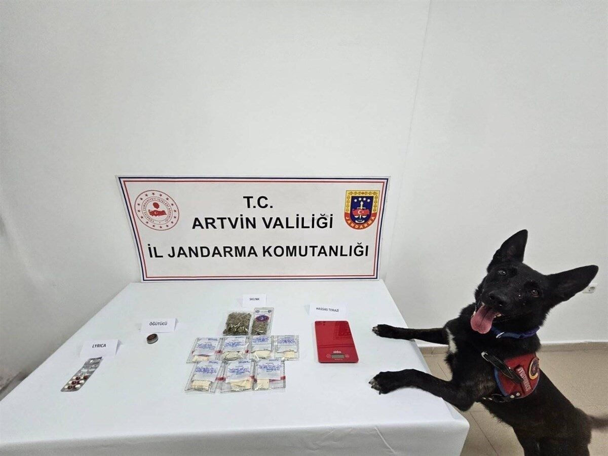 Artvin’in Arhavi ilçesinde düzenlenen uyuşturucu operasyonunda satışa hazır uyuşturucu madde
