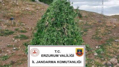 Erzurum İl Jandarma Komutanlığı Kaçakçılıkla Mücadele Şube Müdürlüğü ve Aşkale