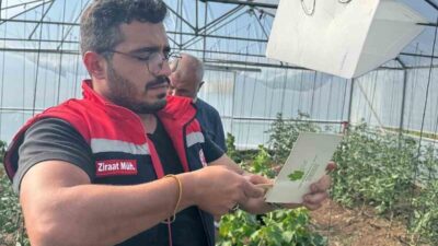 Doğu Karadeniz Projesi (DOKAP) kapsamında Aydıntepe ilçesine bağlı üç yerleşim