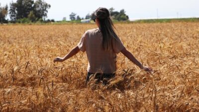 Sıcak havanın etkili olduğu Bayburt’ta en yüksek sıcaklık 37 derece