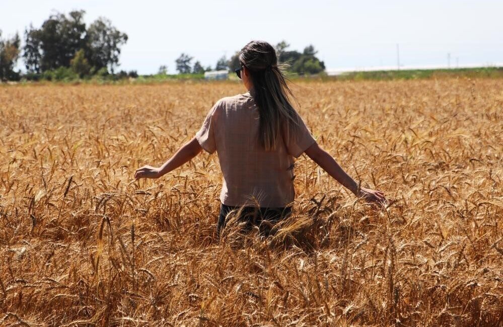 Sıcak havanın etkili olduğu Bayburt’ta en yüksek sıcaklık 37 derece