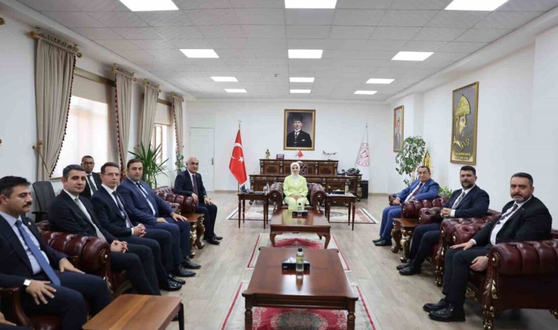 Aile ve Sosyal Hizmetler Bakanı Mahinur Özdemir Göktaş, çeşitli temaslarda