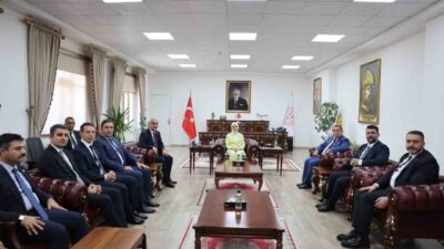 Aile ve Sosyal Hizmetler Bakanı Mahinur Özdemir Göktaş, çeşitli temaslarda