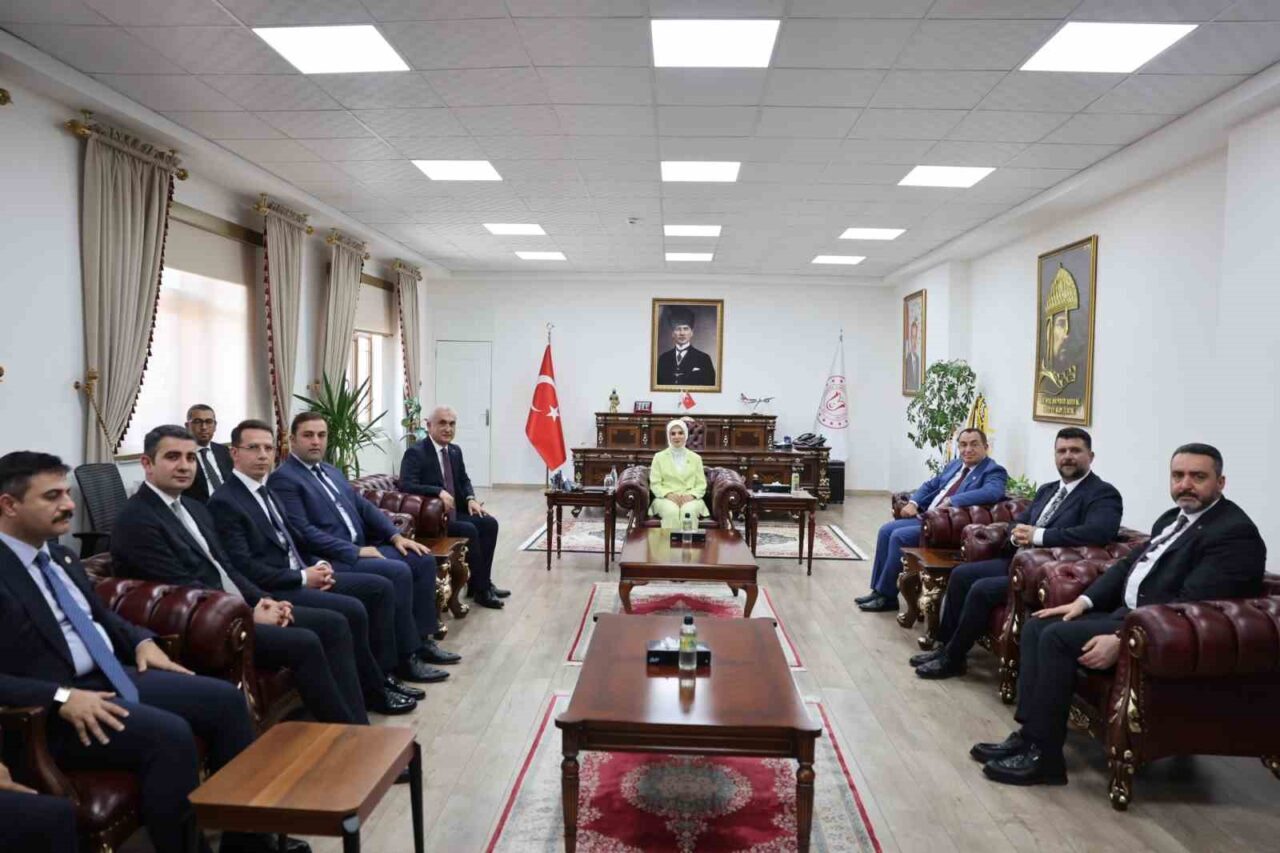 Aile ve Sosyal Hizmetler Bakanı Mahinur Özdemir Göktaş, çeşitli temaslarda