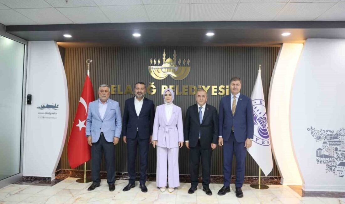 Aile ve Sosyal Hizmetler Bakanı Mahinur Özdemir Göktaş, AK Parti