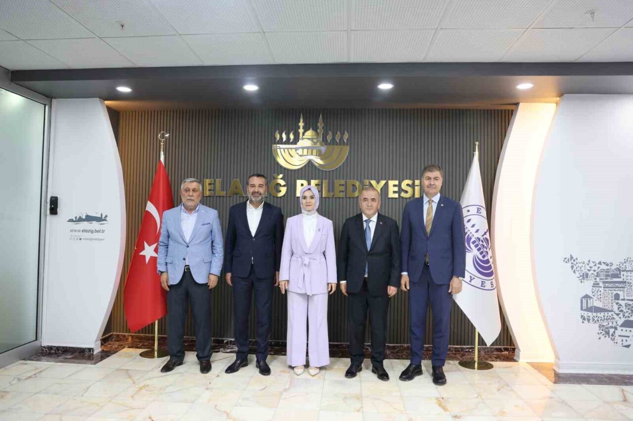 Aile ve Sosyal Hizmetler Bakanı Mahinur Özdemir Göktaş, AK Parti
