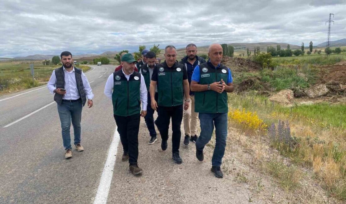 Devlet Su İşleri (DSİ) Genel Müdürlüğü Arazi Toplulaştırma ve Tarla