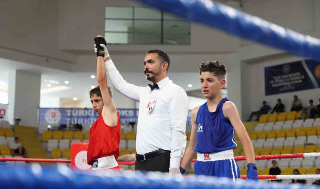 Türkiye Boks Federasyonu tarafından Bayburt’ta düzenlenen Üst Minik Erkekler ve