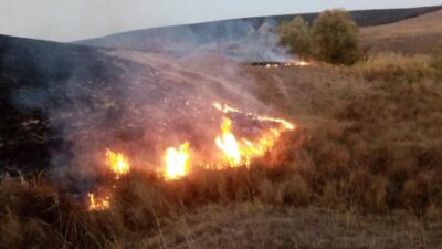 Bayburt Belediyesi İtfaiye Müdürlüğü, hasat sonrası tarlalarda anız yakılmasının çevre,