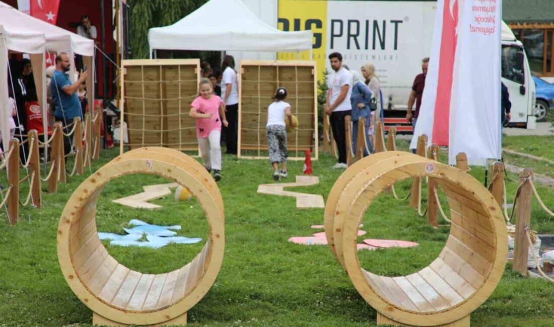 29’uncu Dede Korkut Kültür ve Sanat Şölenleri kapsamında Bayburt’a getirilen