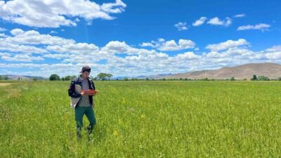 Yem bitkileri ekim alanlarının tespit edilmesi amacıyla Bayburt İl Tarım