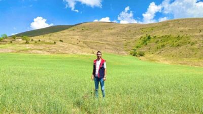 Bayburt İl Tarım ve Orman Müdürlüğü tarafından yürütülen yem bitkileriyle