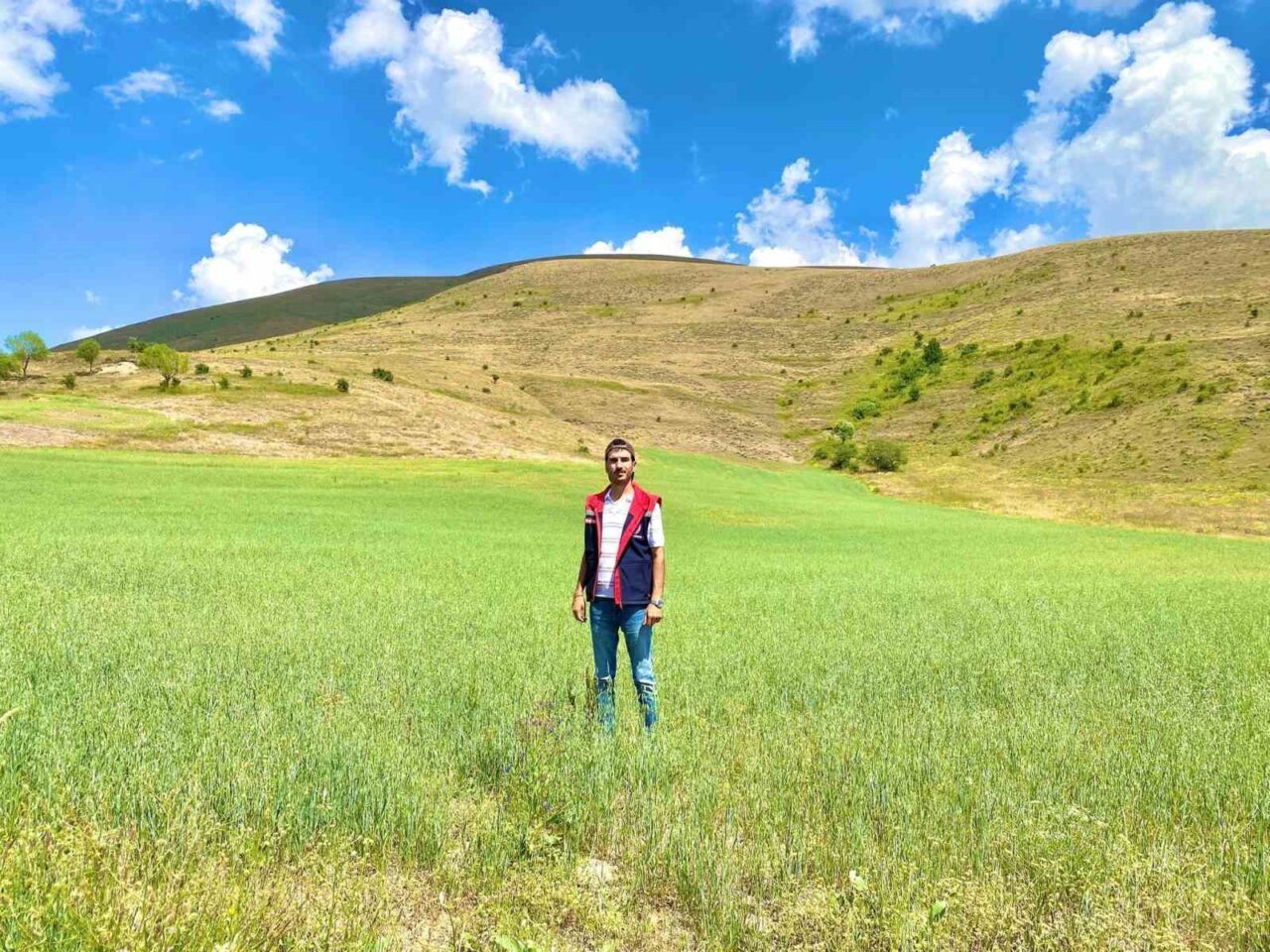 Bayburt İl Tarım ve Orman Müdürlüğü tarafından yürütülen yem bitkileriyle