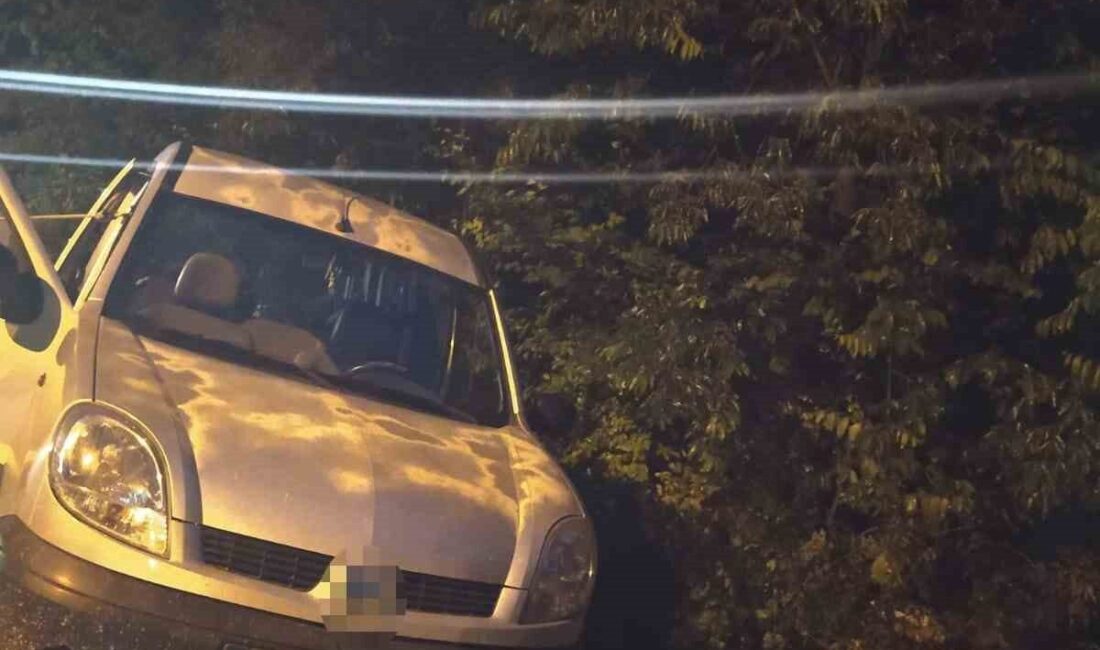 Erzurum’da çamur ve taşlı yola giren otomobil şarampole devrildi. Kazada