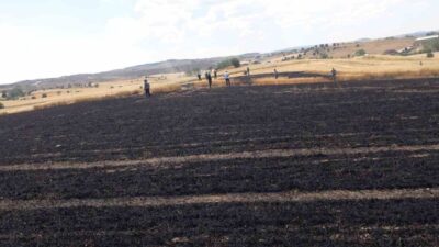 Kastamonu’nun Devrekani ilçesinde çıkan yangında 15 dönümlük buğday ekili tarlalar