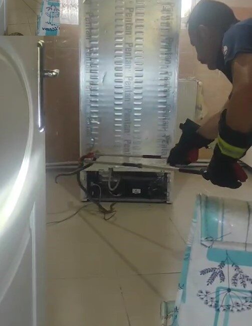 Gümüşhane’de bir evin mutfağındaki buzdolabının motor kısmına giren yılan, itfaiye