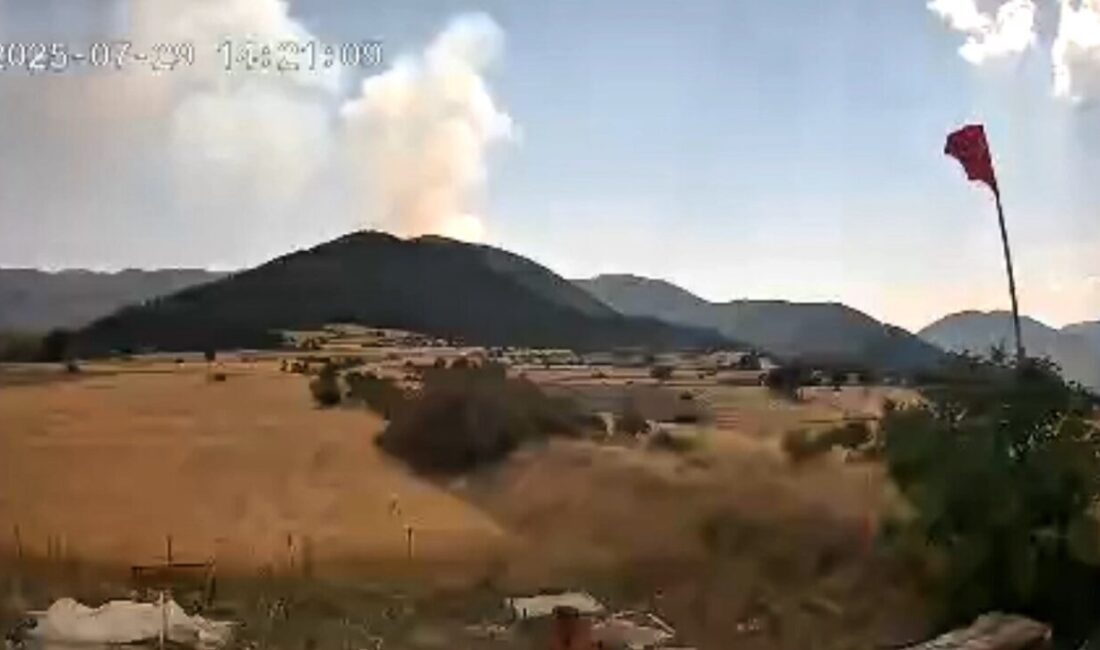 Çankırı’nın Yapraklı ilçesi ile Kastamonu’nun Tosya ilçesi sınırındaki orman yangınının