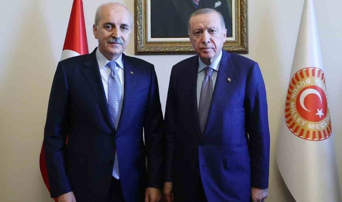 Cumhurbaşkanı Recep Tayyip Erdoğan Türkiye Büyük Millet Meclisi (TBMM) Başkanı