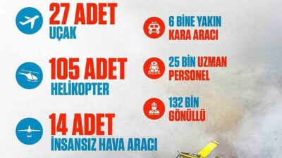 Cumhurbaşkanı Recep Tayyip Erdoğan, devam eden orman yangınlarıyla ilgili olarak