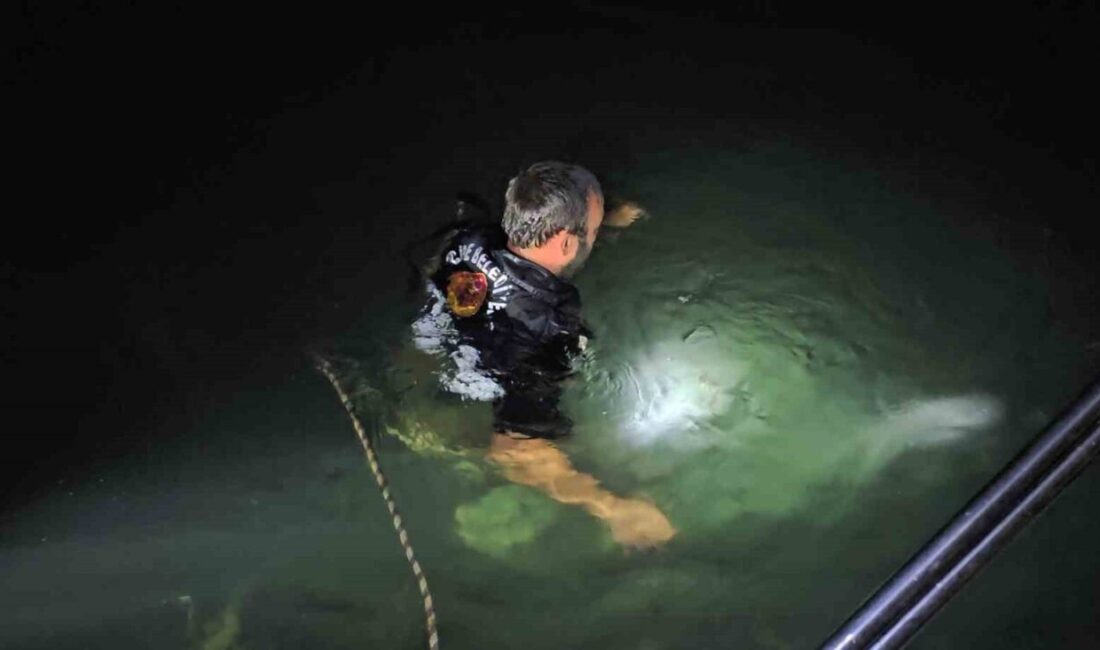 Kastamonu’nun Cide ilçesinde dengesini kaybederek denize düşen 18 yaşındaki genç