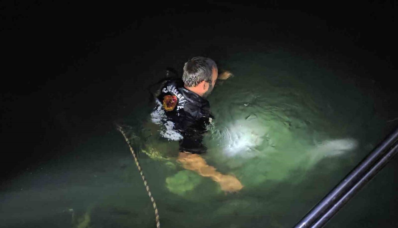 Kastamonu’nun Cide ilçesinde dengesini kaybederek denize düşen 18 yaşındaki genç