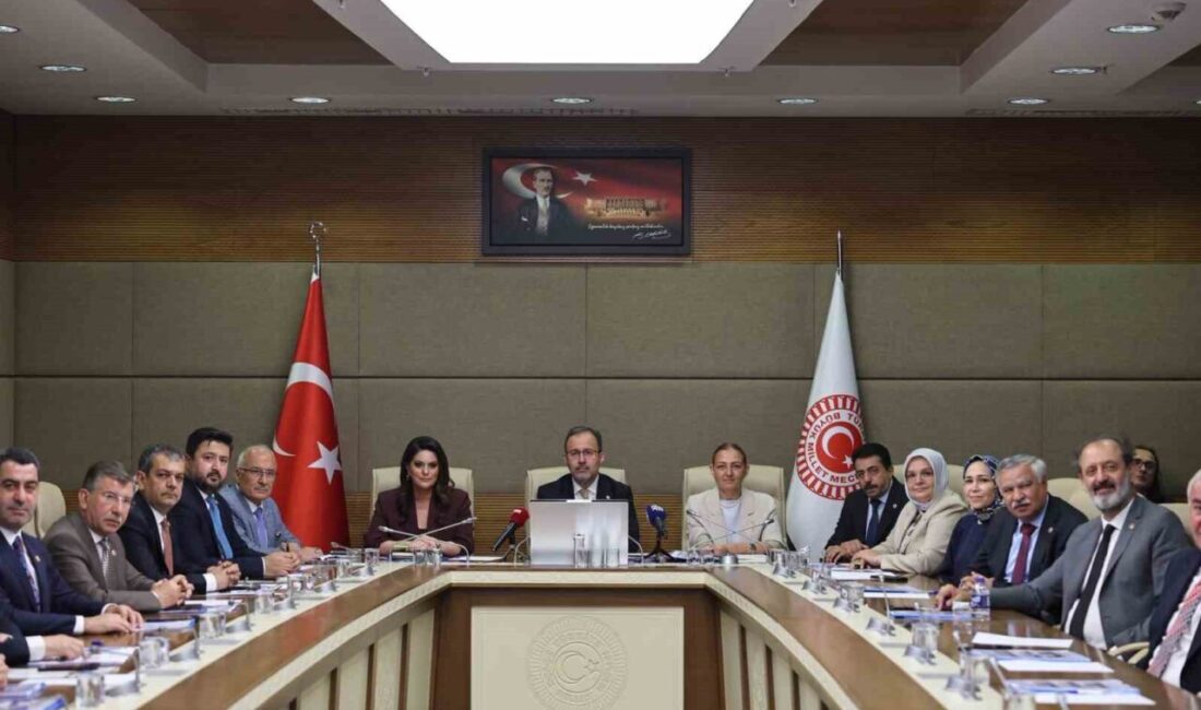 Türkiye Büyük Millet Meclisinde (TBMM) kurulan Engelli Bireylerin Sorunlarını Araştırma