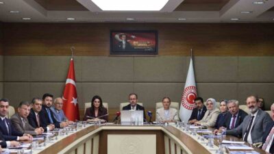 Türkiye Büyük Millet Meclisinde (TBMM) kurulan Engelli Bireylerin Sorunlarını Araştırma