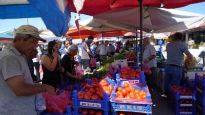 Erzincan’da üretilen domatesler bölge illerde sofraları süslüyor. Doğu Anadolu Bölgesi’nde