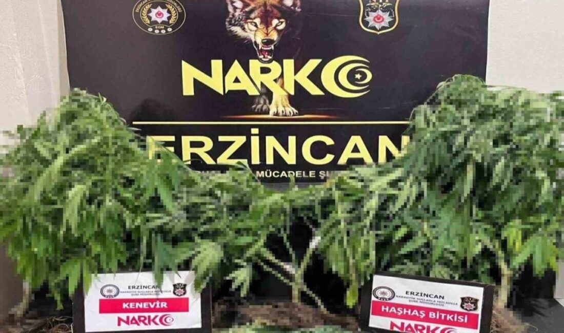 Erzincan’da narkotik ekiplerinin uyuşturucu madde ticareti yapan ve kullanan şahıslara