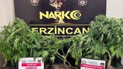 Erzincan’da narkotik ekiplerinin uyuşturucu madde ticareti yapan ve kullanan şahıslara