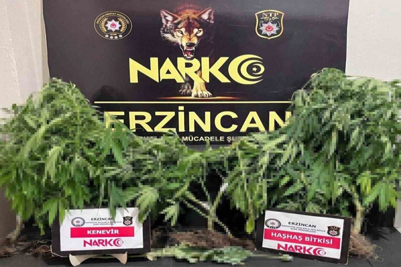 Erzincan’da narkotik ekiplerinin uyuşturucu madde ticareti yapan ve kullanan şahıslara