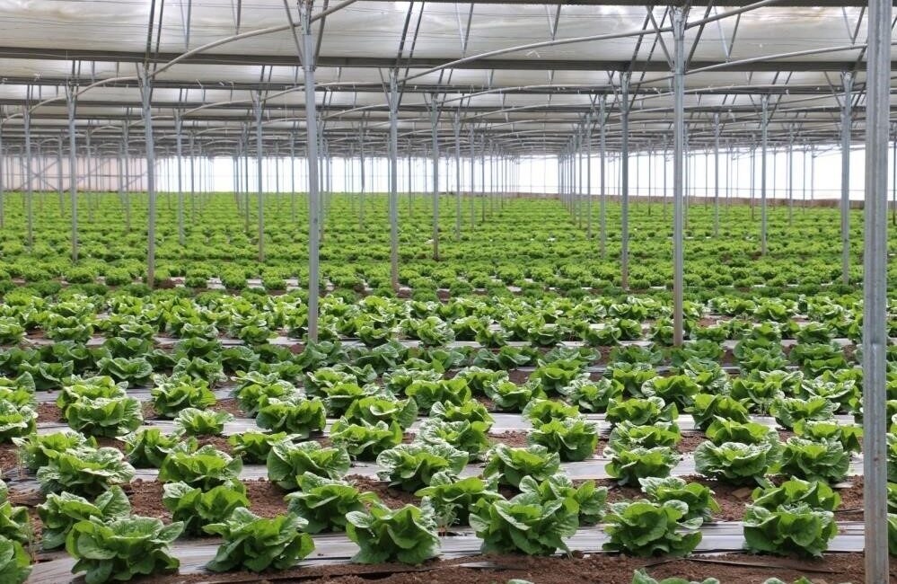 Erzincan’da yıl boyu tarımsal üretimi artırmak ve bölge ekonomisine katkı