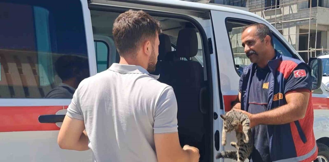 Erzincan’da park halindeki bir aracın motor kısmına sıkışan kedi, itfaiye
