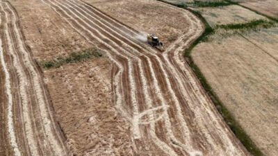 Erzincan’da buğday ve arpa hasadı başladı. Tarlalara giren biçerdöverler, rekor