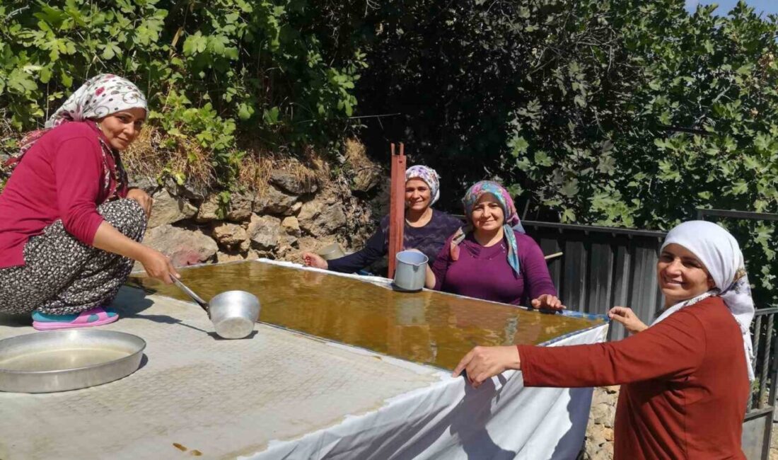 Erzincan’da kadınlar, dutların olgunlaşmasıyla geleneksel yöntemlerle pestil üretimine başladı. Dutun