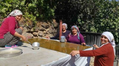 Erzincan’da kadınlar, dutların olgunlaşmasıyla geleneksel yöntemlerle pestil üretimine başladı. Dutun