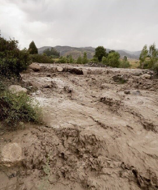 Erzincan’da etkili olan sağanak yağış, kısa sürede sele dönüştü. Erzincan-Sivas