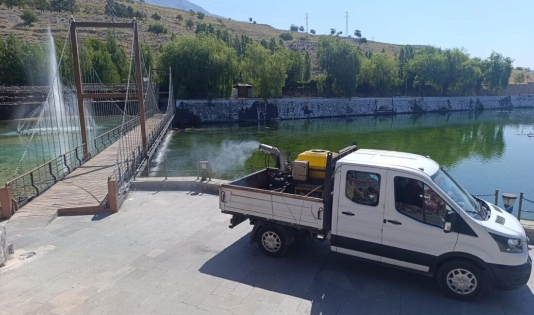 Veteriner İşleri Müdürlüğü ekipleri, yaz aylarının gelmesiyle birlikte artış gösteren