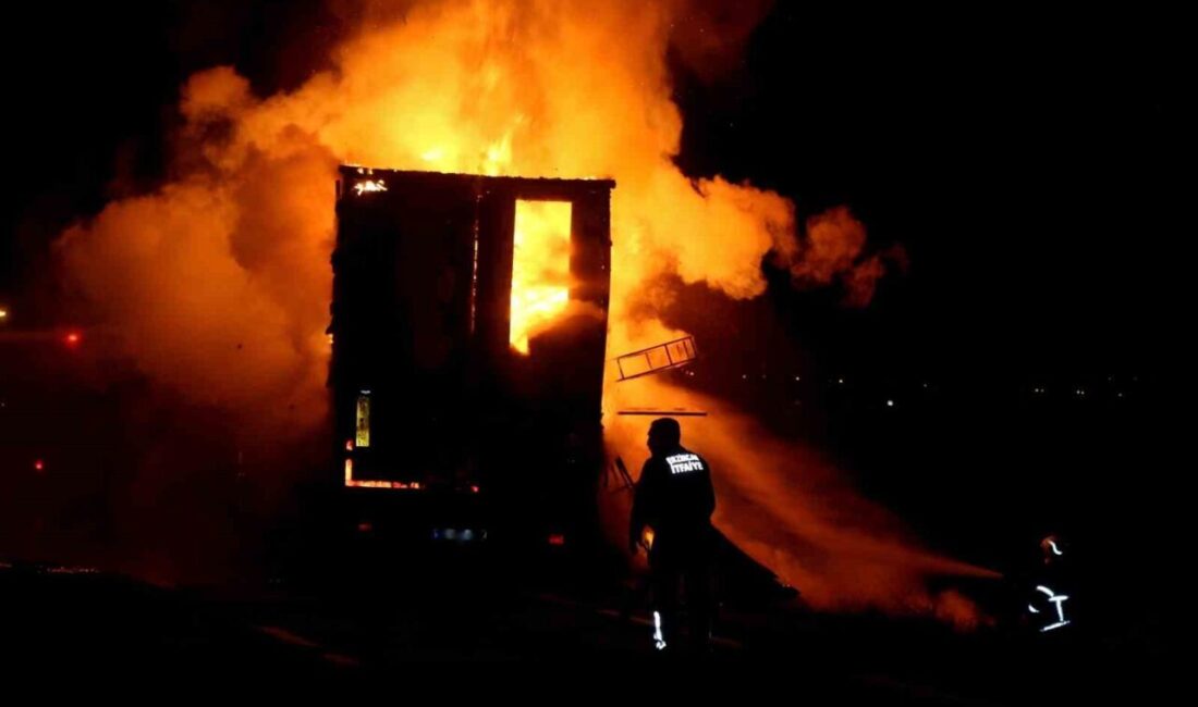 Erzincan’ın Tercan ilçesinde kumaş ve kozmetik yüklü tırın dorsesi alev