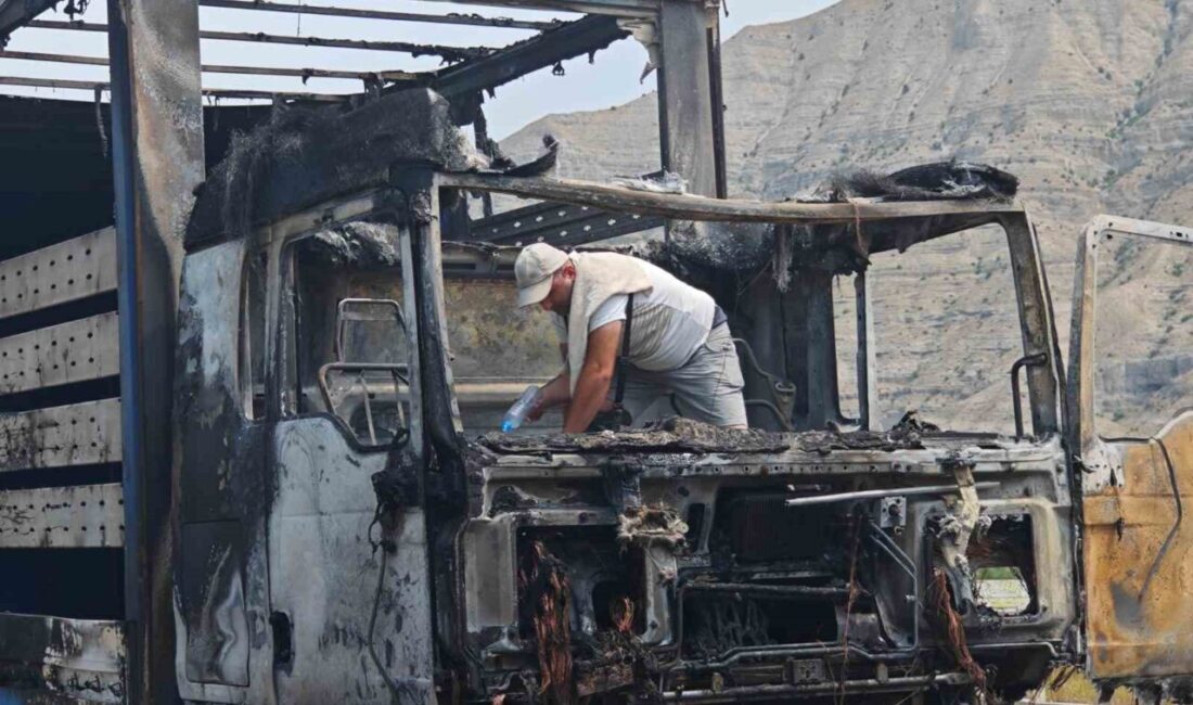 Erzurum’un Uzundere ilçesinden geçen Erzurum-Artvin karayolunda Gürcü plakalı bir tır,