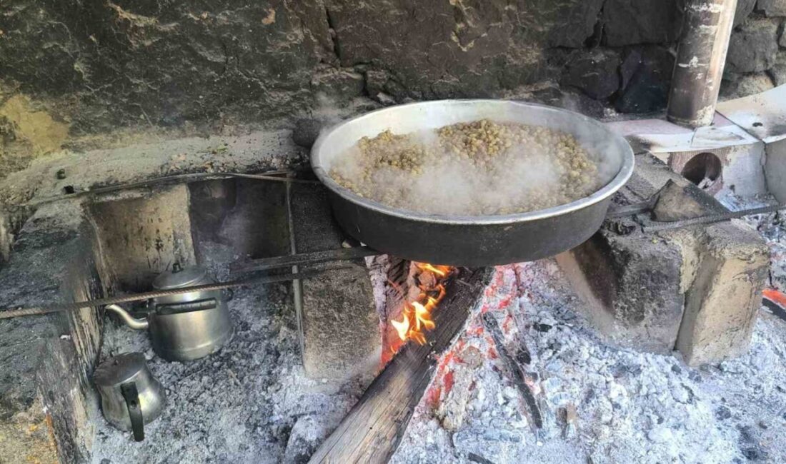 Erzurum’un Uzundere ilçesinde doğal ortamda, ata yadigârı yöntemlerle yapılan dut