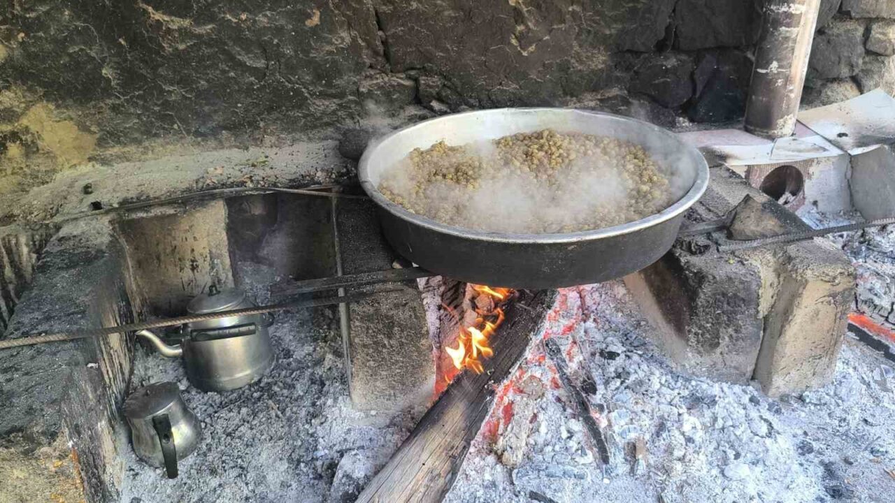 Erzurum’un Uzundere ilçesinde doğal ortamda, ata yadigârı yöntemlerle yapılan dut