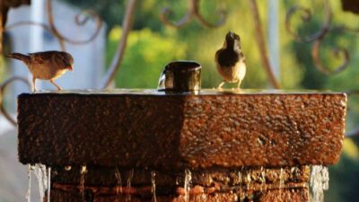 Erzurum Valiliği, 27 Temmuz 2025 tarihi itibariyle sıcaklıkların hissedilir derecede