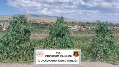 Erzurum İl Jandarma Komutanlığı Kaçakçılıkla Mücadele Şube Müdürlüğü koordinesinde Pasinler