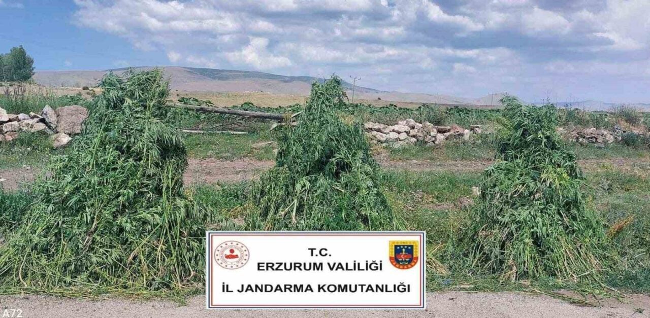Erzurum İl Jandarma Komutanlığı Kaçakçılıkla Mücadele Şube Müdürlüğü koordinesinde Pasinler